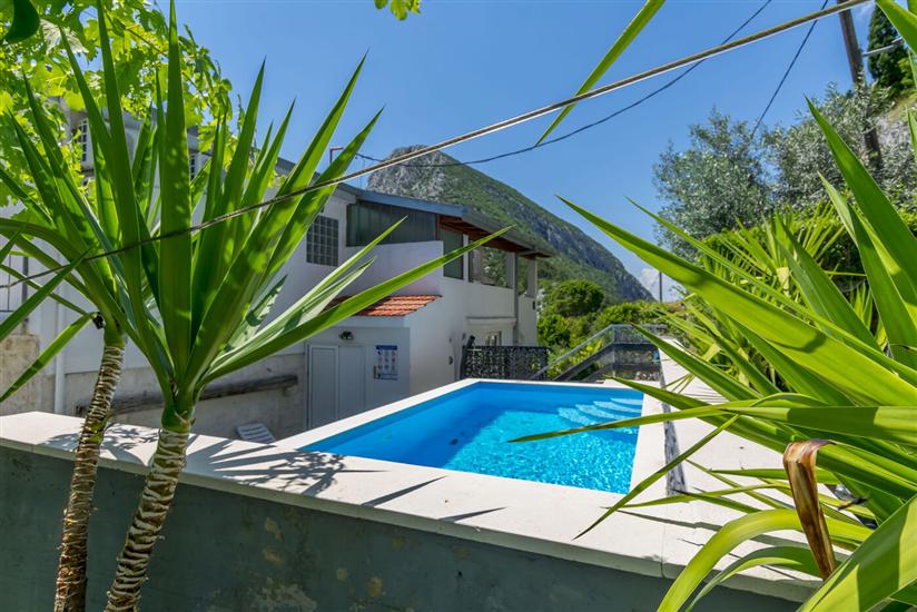 House Hidden Green Oasis