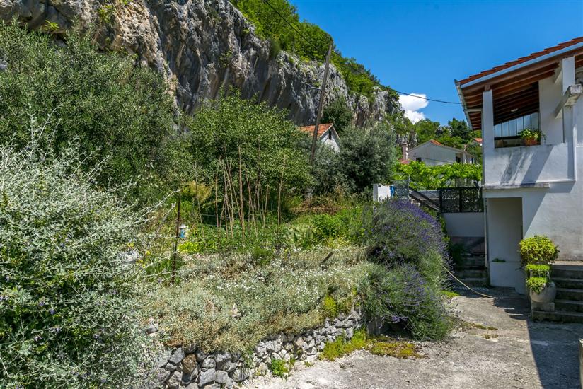 House Hidden Green Oasis