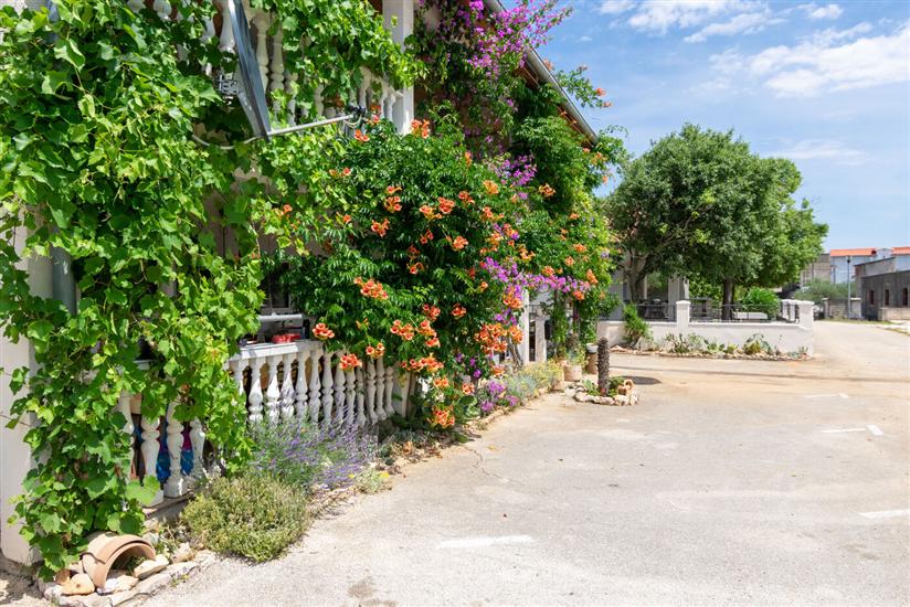 Apartmány Andrijana
