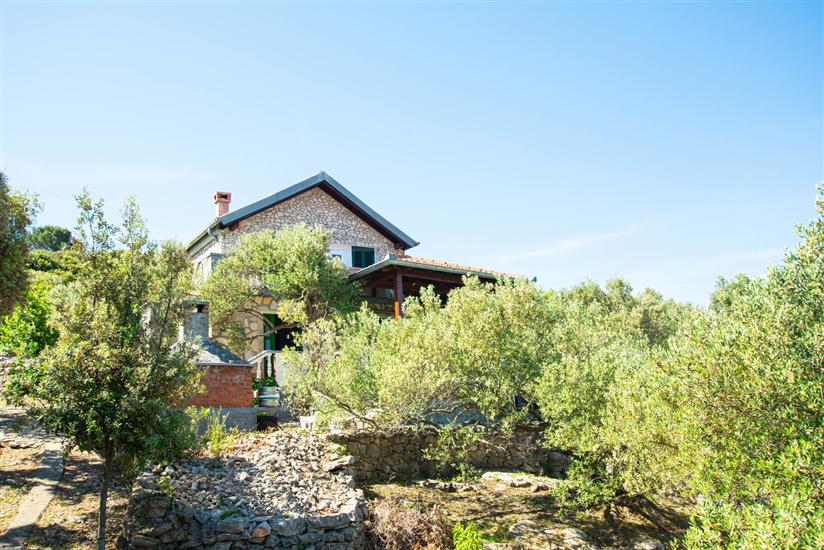 Haus Punta