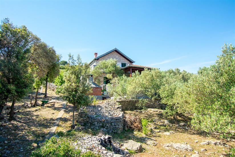 Haus Punta