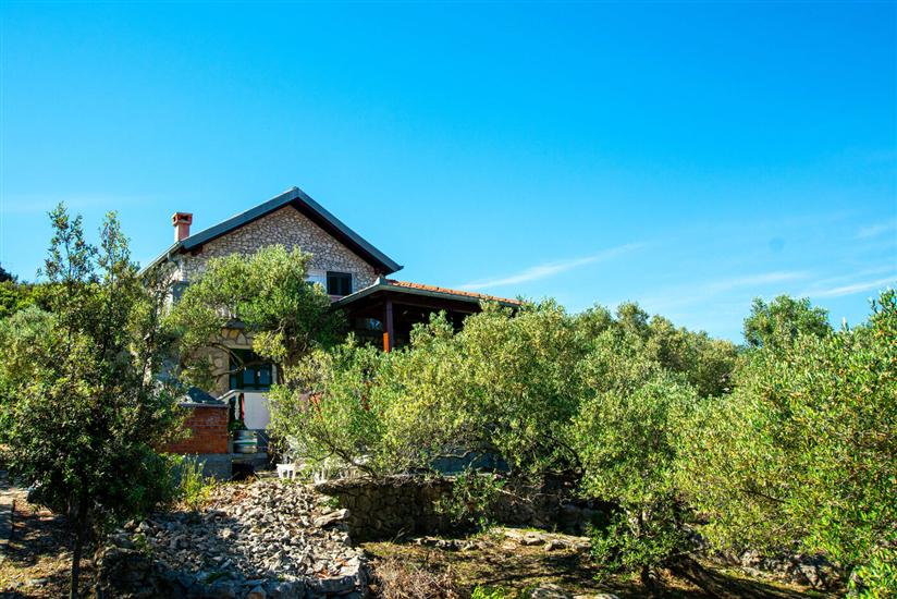 Haus Punta