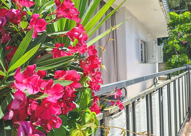 Apartments Matas