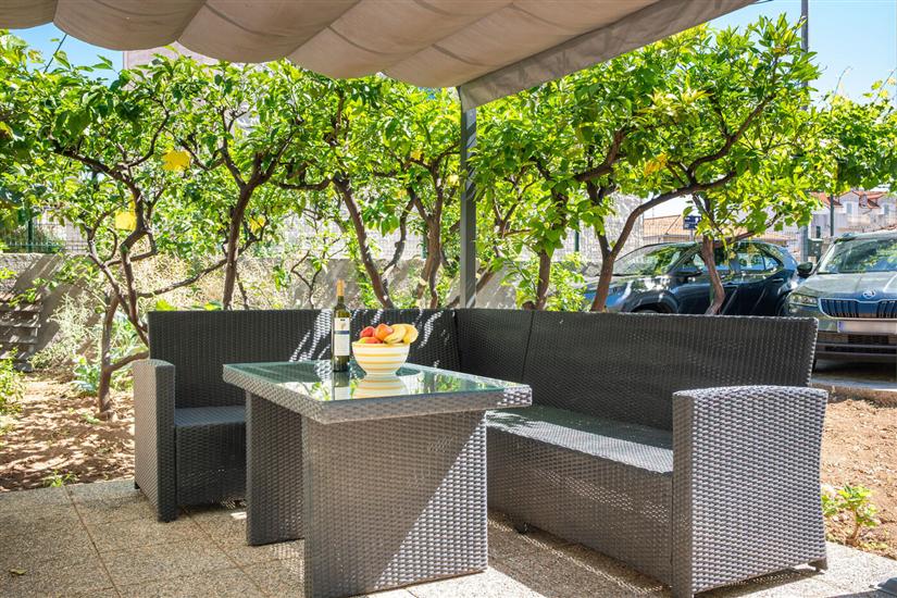 House Frane