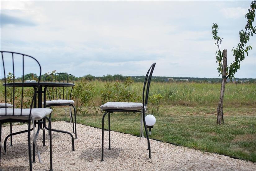 Apartment Uzi Umag