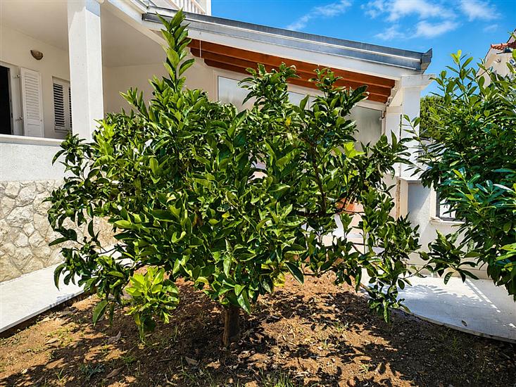 Apartmaj Suzana
