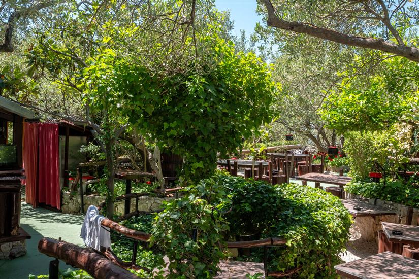 Apartments Antisa