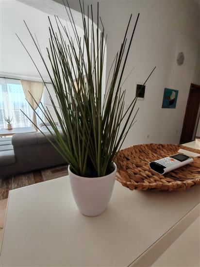 Apartment A3, for 6 persons