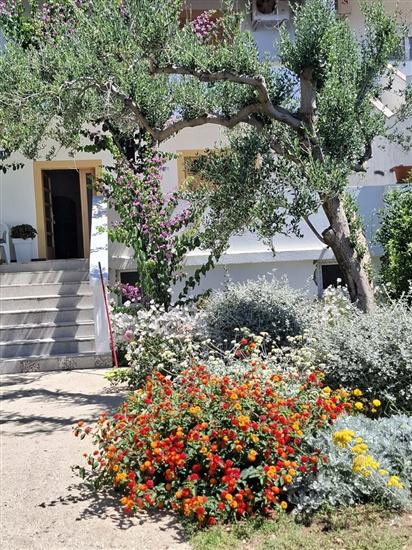 Apartments Sanja