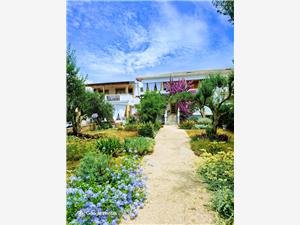 Apartments Sanja Povljana - island Pag, Size 30.00 m2, Airline distance to town centre 400 m
