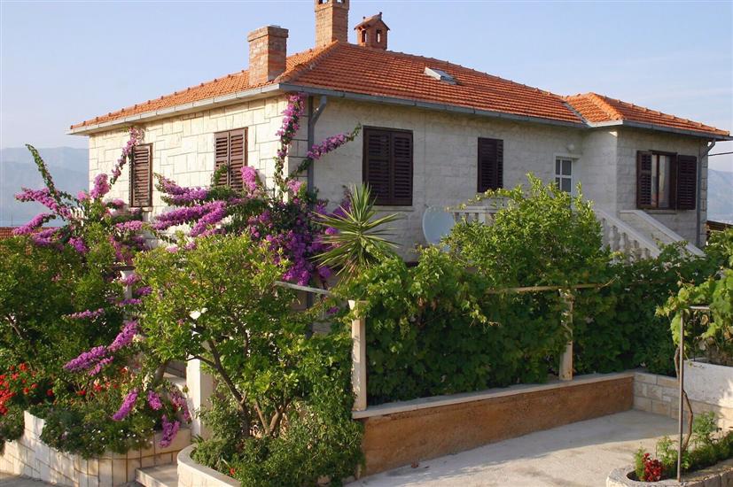 Appartement Sea View