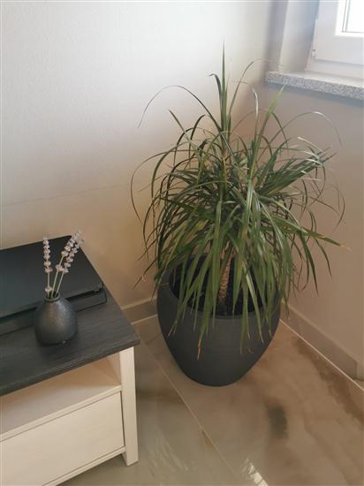 Apartman A1, na 3 osebe