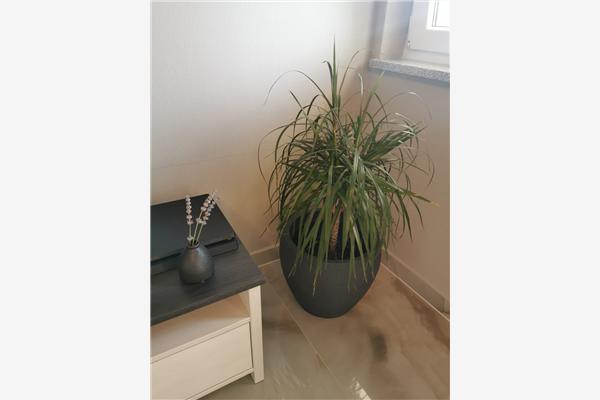 Apartman A1, na 3 osebe