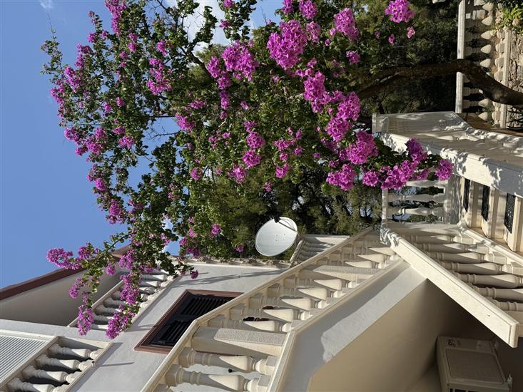Apartments and Room Villa Makaj