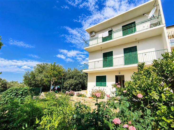 Apartments Ana