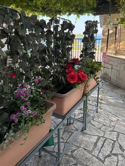 Apartment A1, for 3 persons