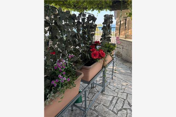Apartment A1, for 3 persons