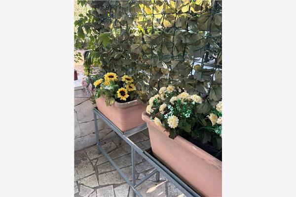 Apartment A1, for 3 persons