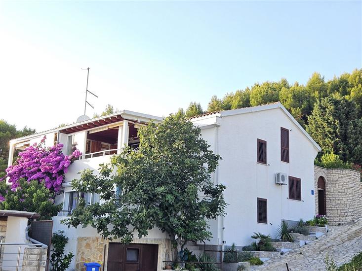 Apartment Branka