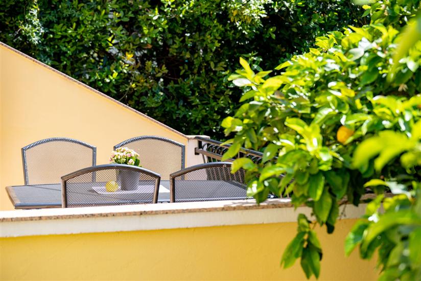 Apartment Mladenka 1