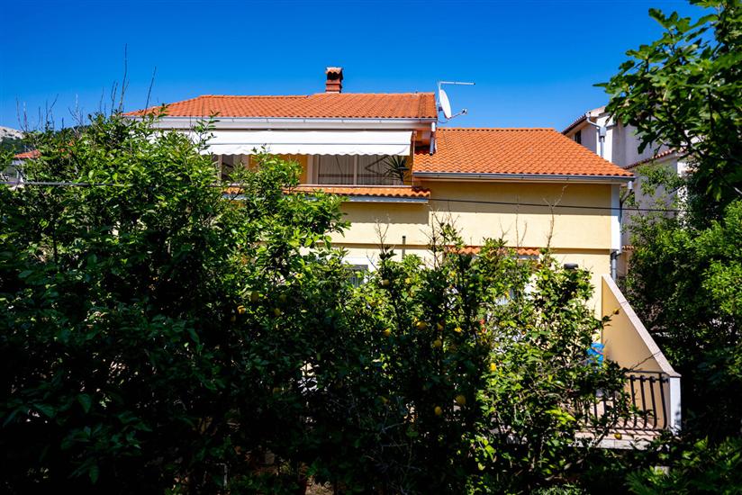 Apartment Mladenka 1