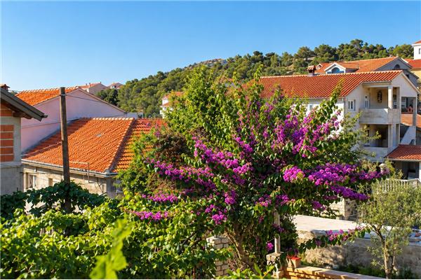 Apartment A1, for 3 persons