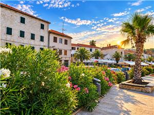 Apartments Mladenka Rogoznica, Size 15.00 m2, Airline distance to the sea 50 m