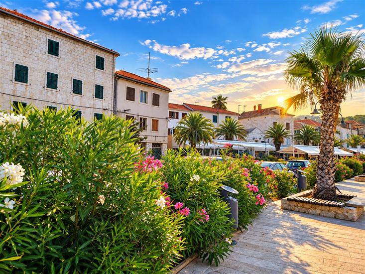 Apartments Olivera
