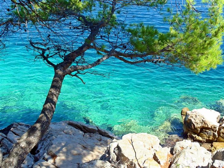 Cavtat