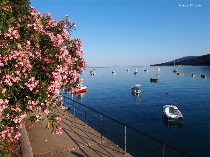 Rabac