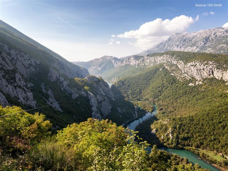 Omis