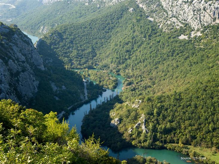 Omis