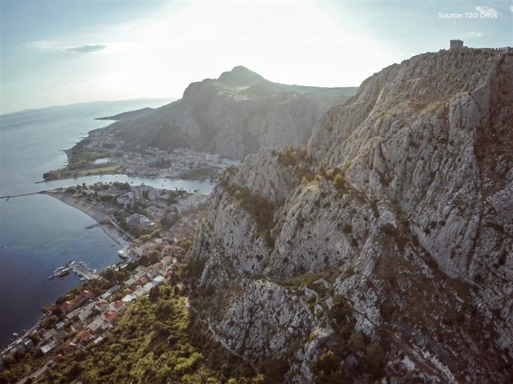 Omis