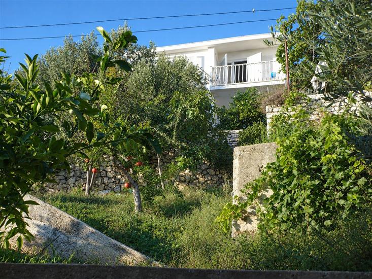 Apartments Mirela