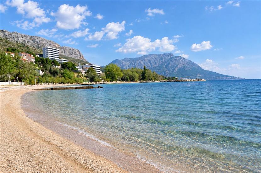 Apartments Roko