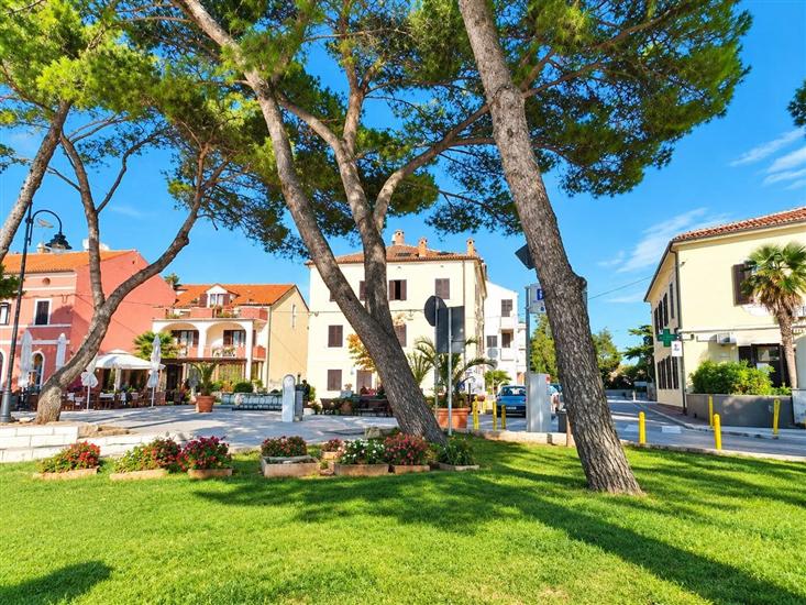 Apartments Radomir