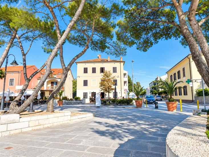 Apartments Radomir