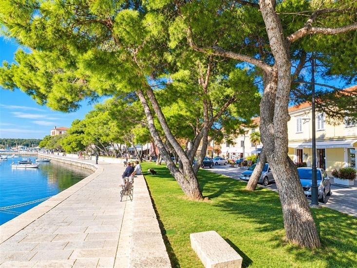 Apartments Radomir