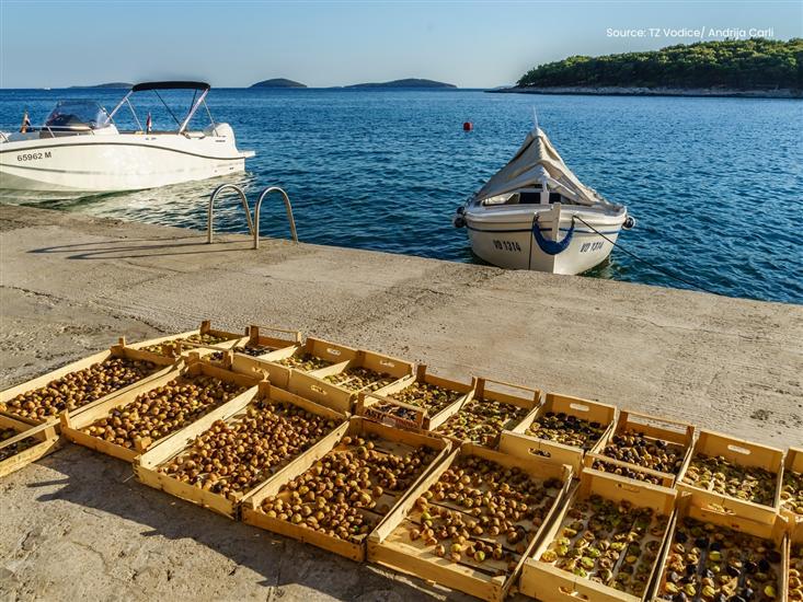 Prvic Luka - island Prvic