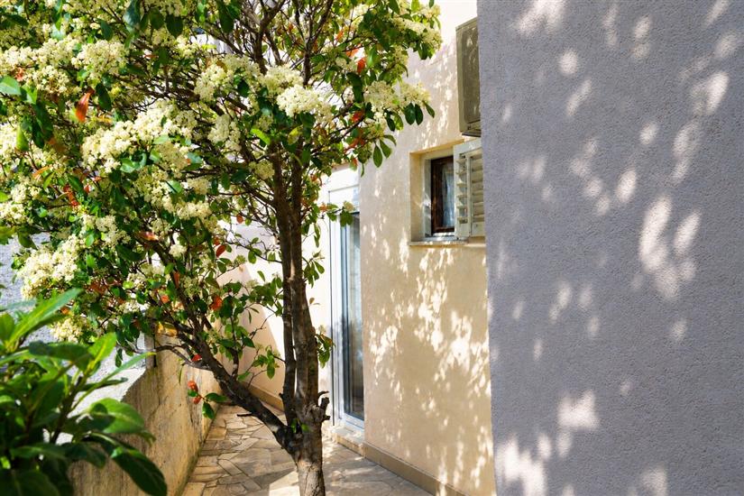 Apartman Lile