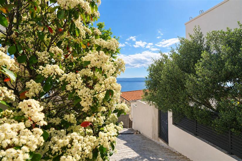 Apartman Lile