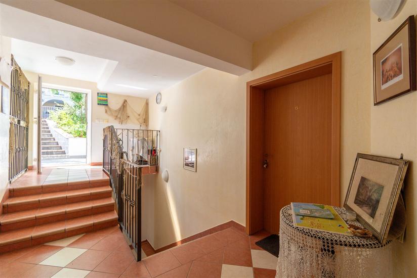 Apartments Vlado