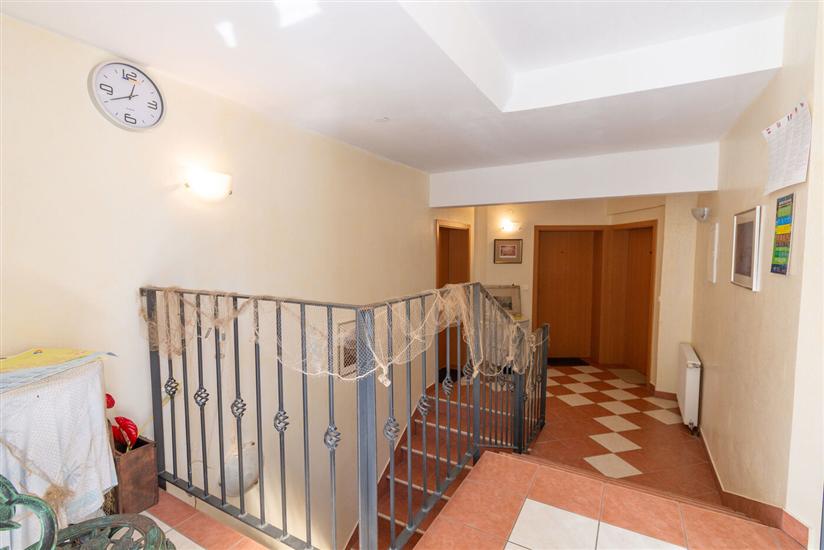 Apartments Vlado