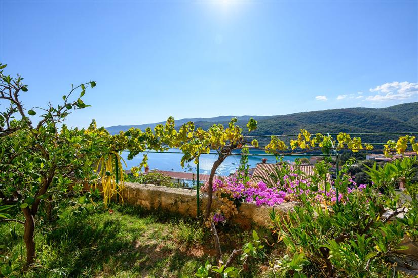 Apartment A2, for 2 persons