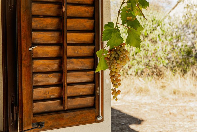 House Maja Authentic with Private Pool