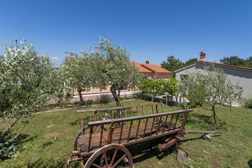 Villa Zelena Oaza