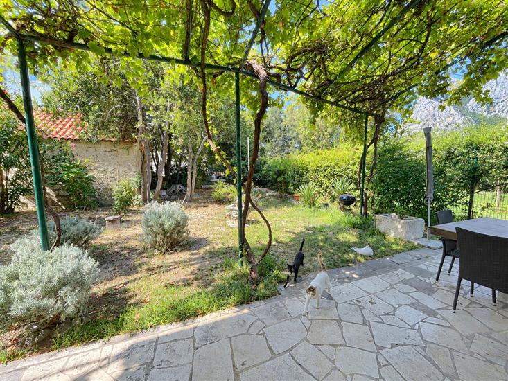 Apartments Jugo i bura