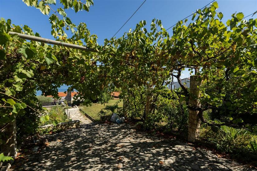 Apartman Apartment Pavlin 1 with pool & jacuzzi