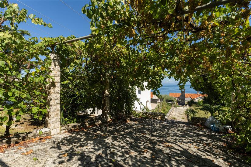 Apartman Apartment Pavlin 1 with pool & jacuzzi