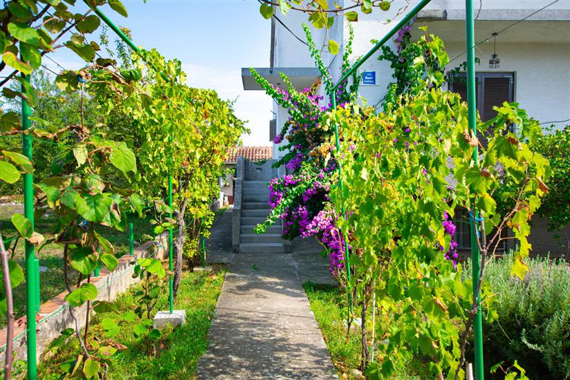 Apartment Serđa